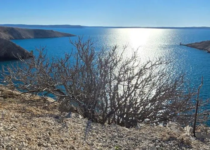 Coastal Apartmán Zadar